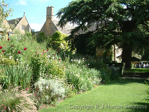 Border Hidcote 100+Deodar